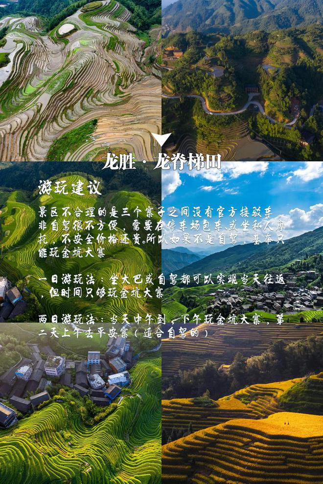 略广西五日游旅游路线五天旅游景点龙8游戏进入广西桂林五日游详细攻(图5)