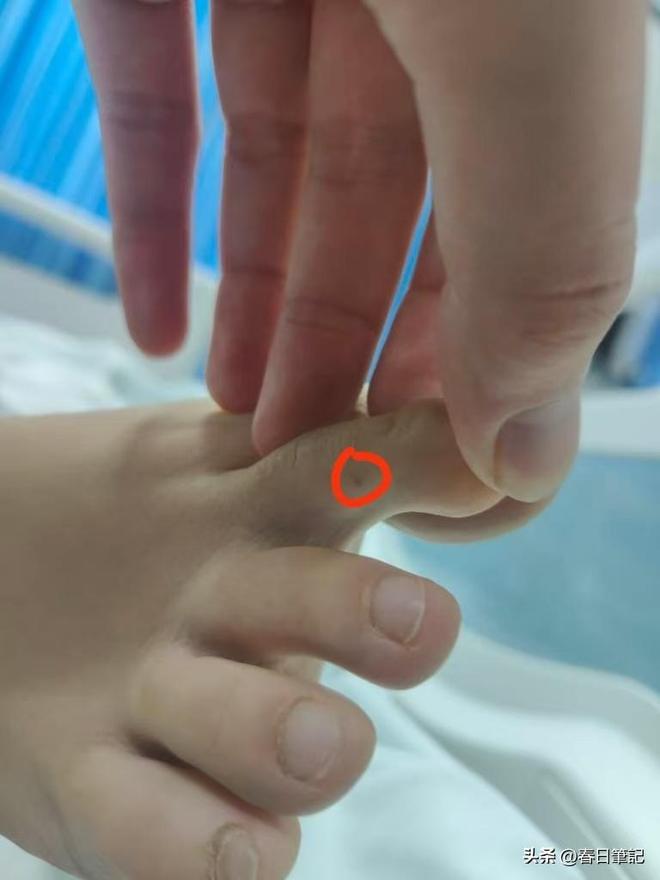 息曝光家属发声抢救后称没经验女游客被蛇咬身亡后续！身份信(图8)