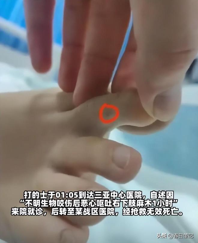 息曝光家属发声抢救后称没经验女游客被蛇咬身亡后续！身份信(图15)