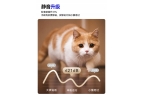 创者智能窗帘稳居第一电动窗帘品牌推荐：科